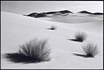 Dunes at the rim of Arakaou